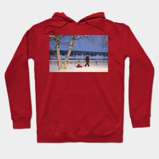 Sledding down the street Hoodie